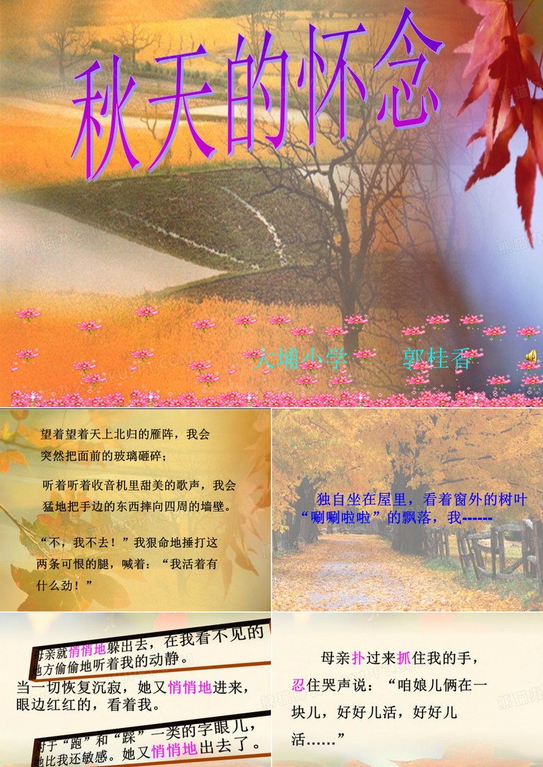 秋天的怀念