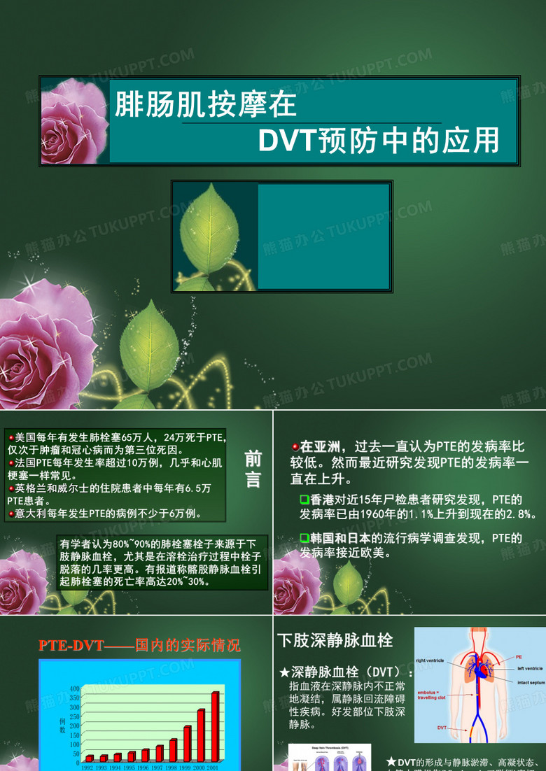 腓肠肌与深静脉血栓