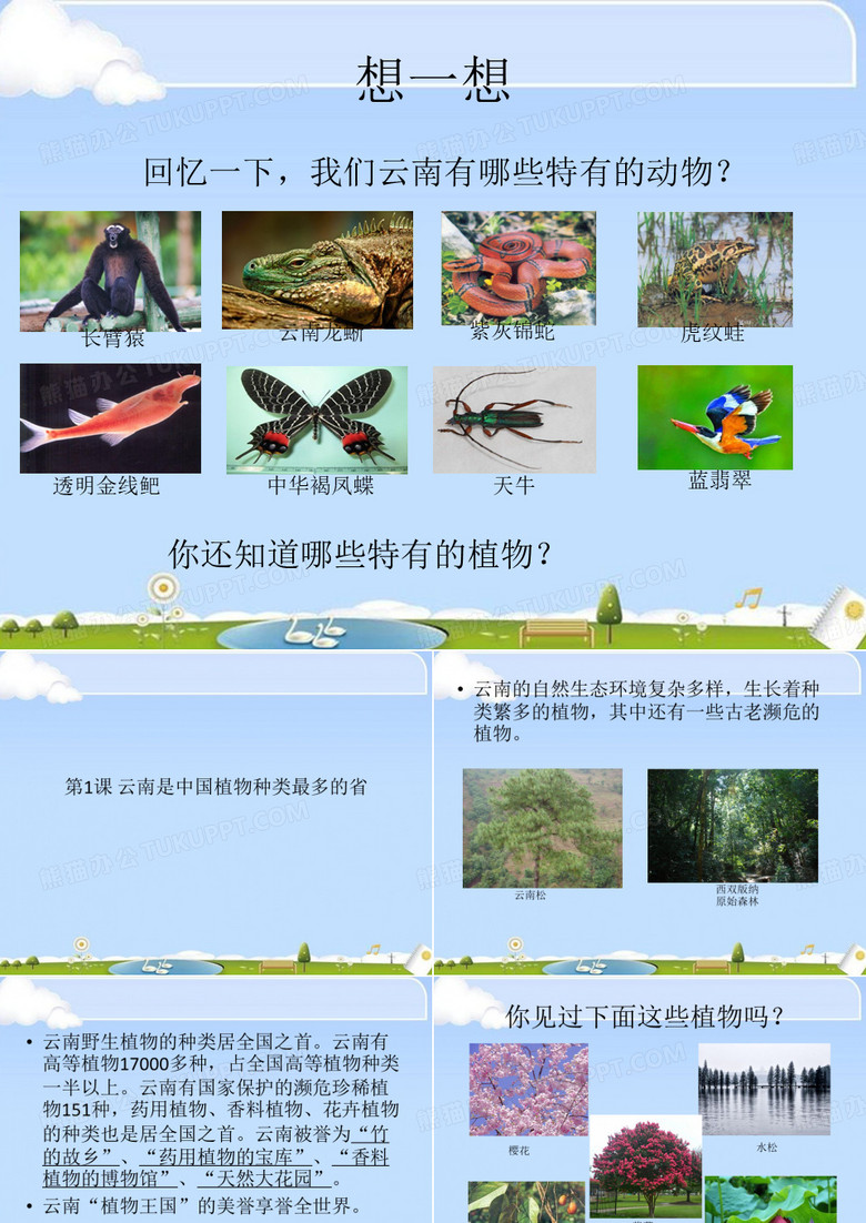 1.云南是中国植物种类最多的省