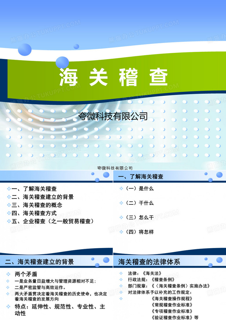 海关稽查