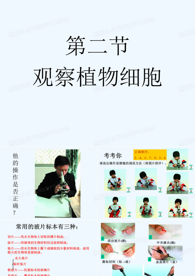 观察植物细胞