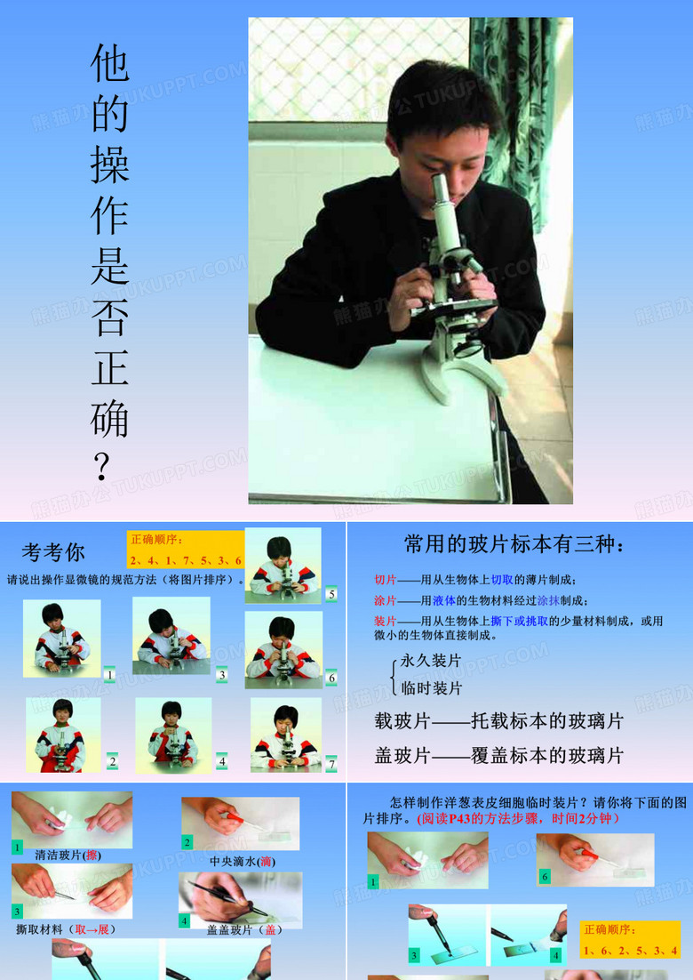 观察植物细胞