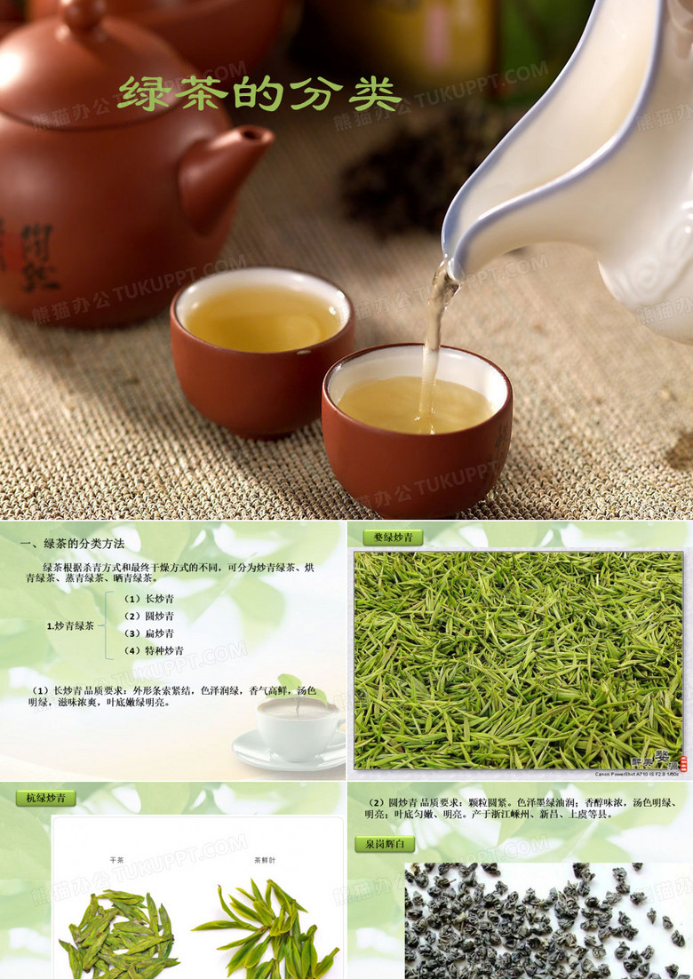 绿茶的分类