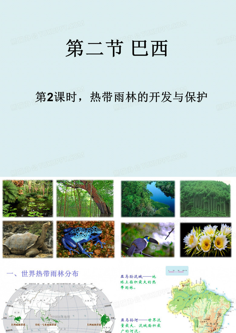 第二课时 巴西雨林