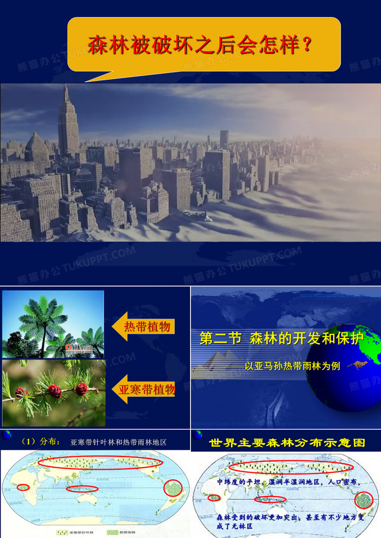 雨林的开发和保护