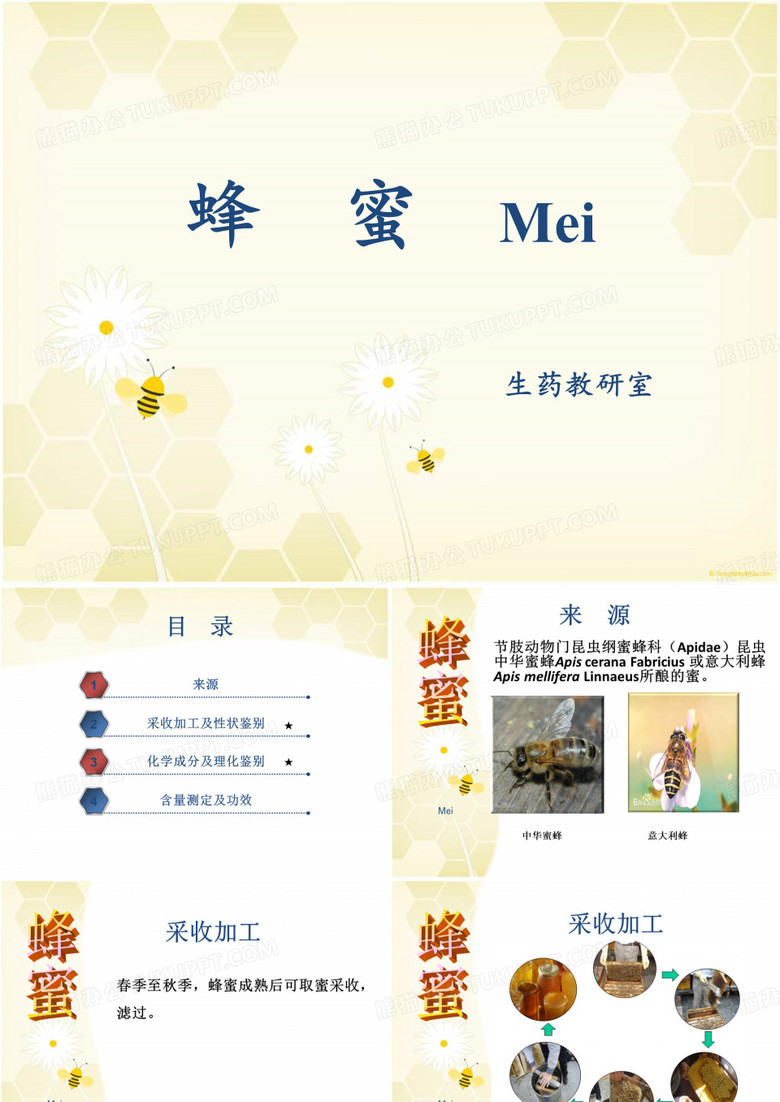 蜂蜜PPT