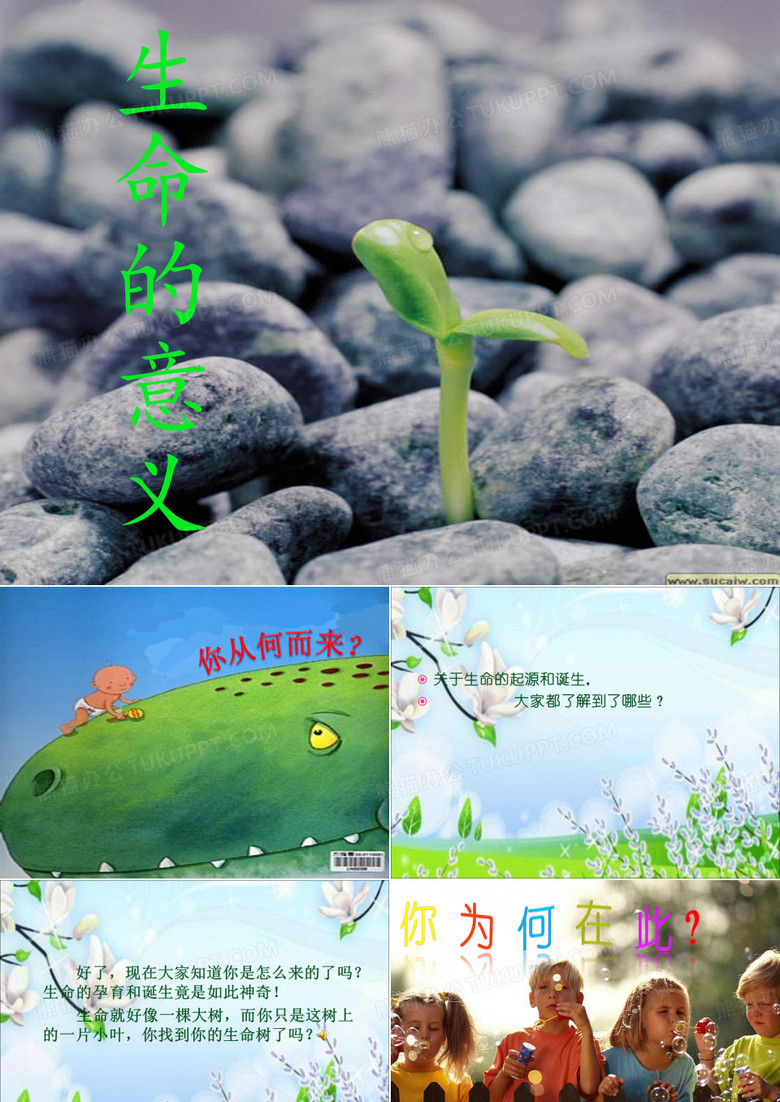 生命的意义