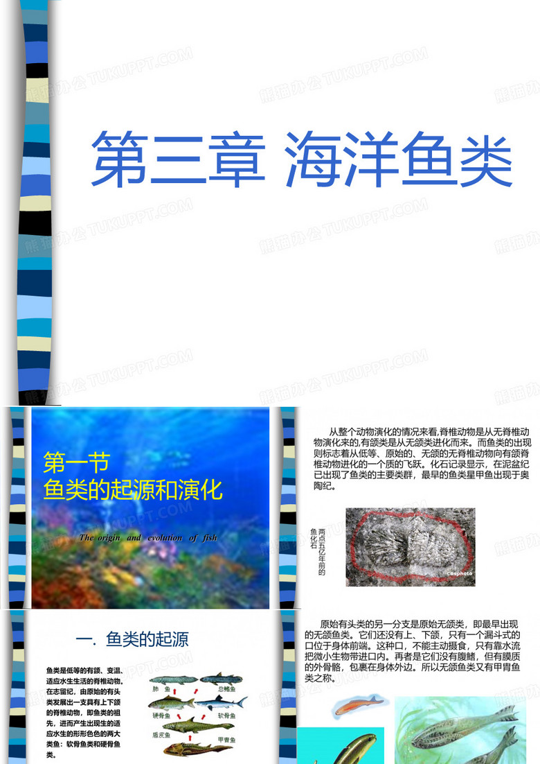 海洋鱼类