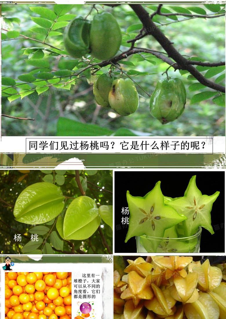 《画杨桃》课件