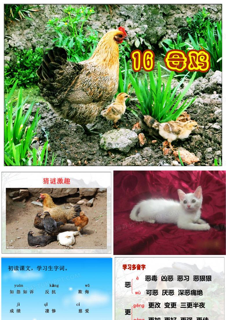 《母鸡》课件