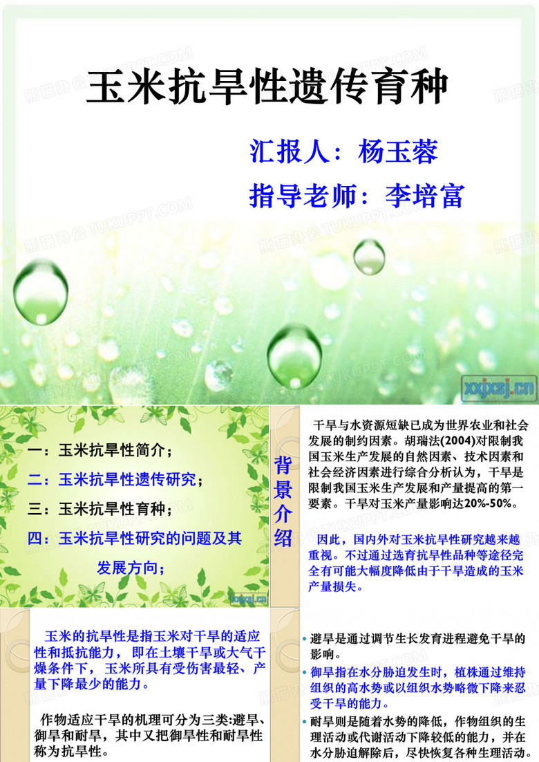玉米抗旱