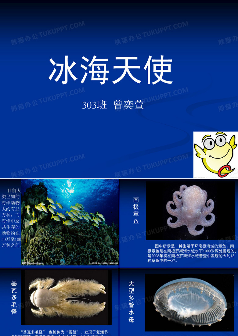 深海动物