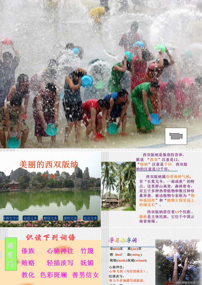 西双版纳资料