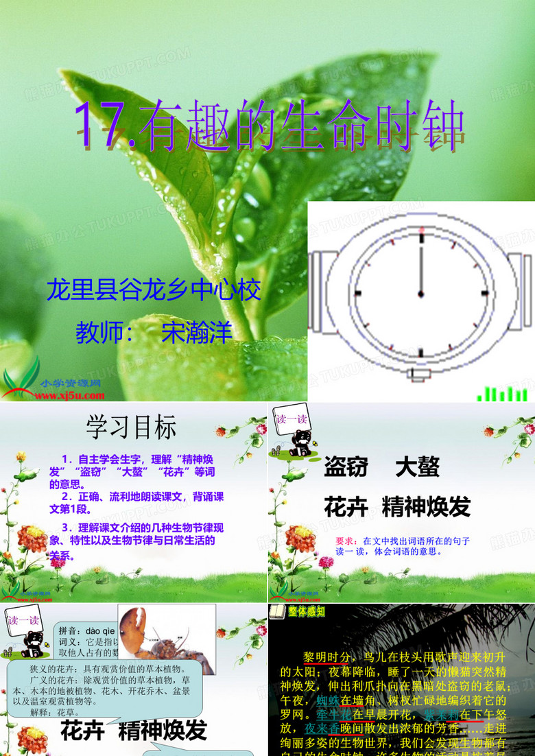 西师大版五年级语文下册《有趣的生命时钟 2》PPT课件