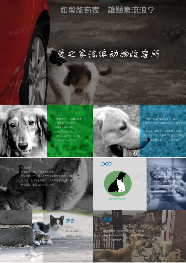 流浪动物收留所