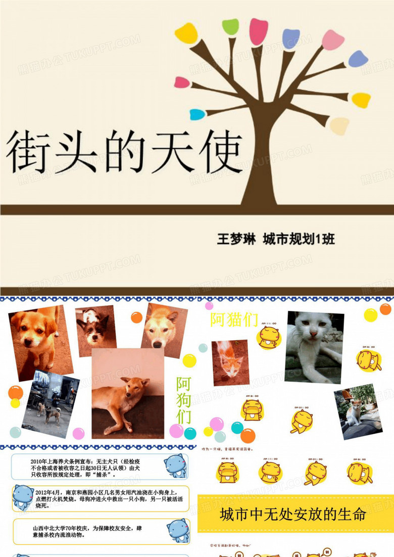 流浪动物的保护