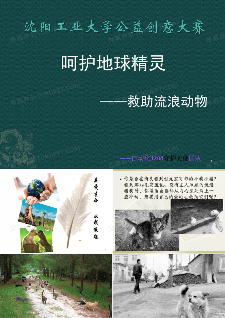 给流浪动物一个家ppt课件