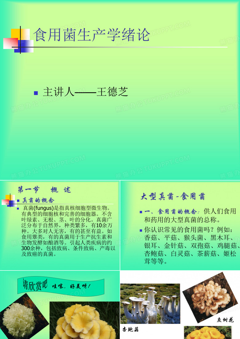 食用菌生产技术 食用菌