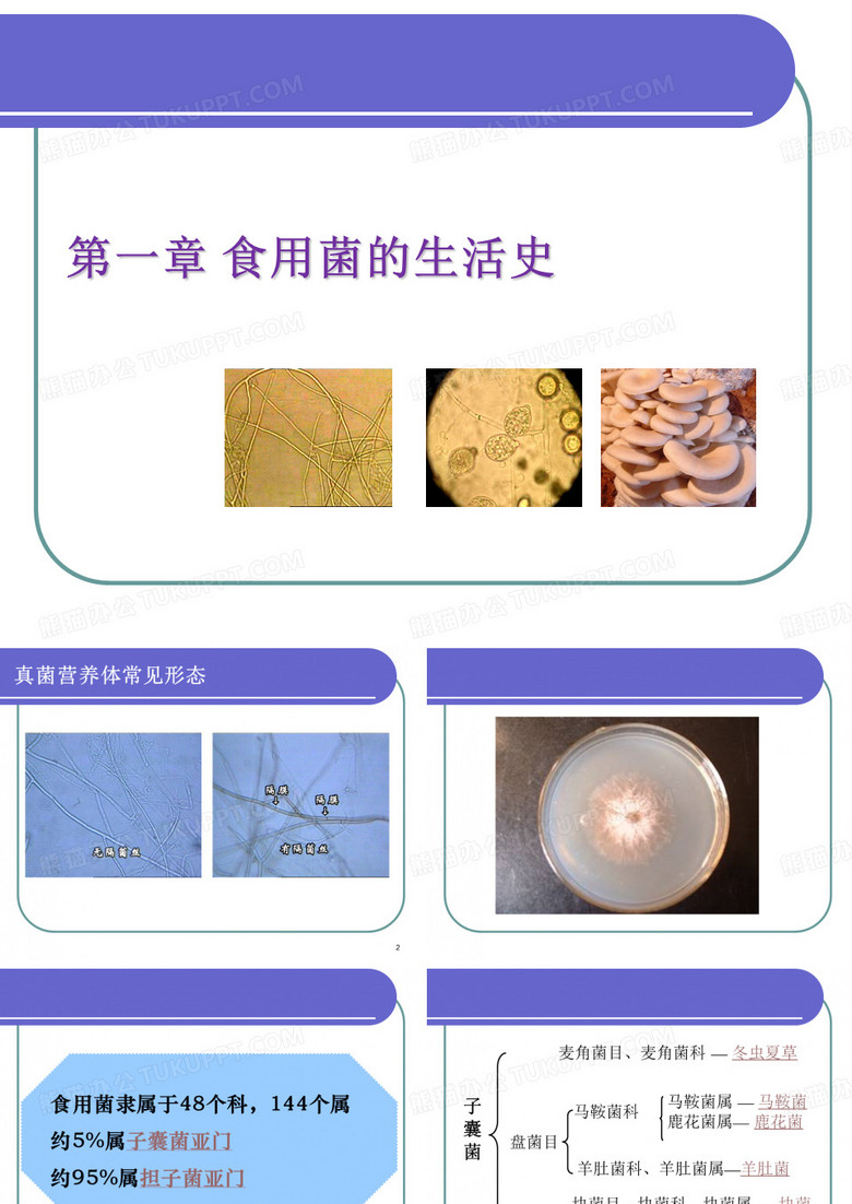 食用菌育种学-第一章 食用菌的生活史