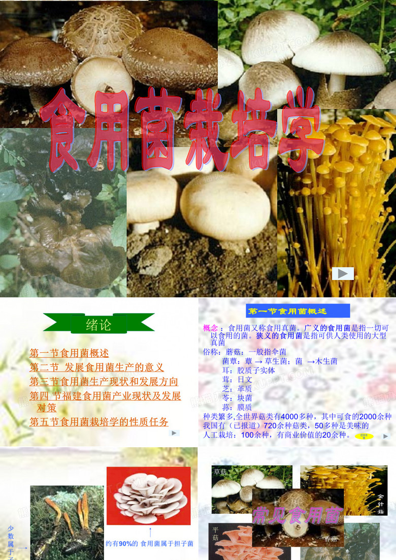 食用菌栽培