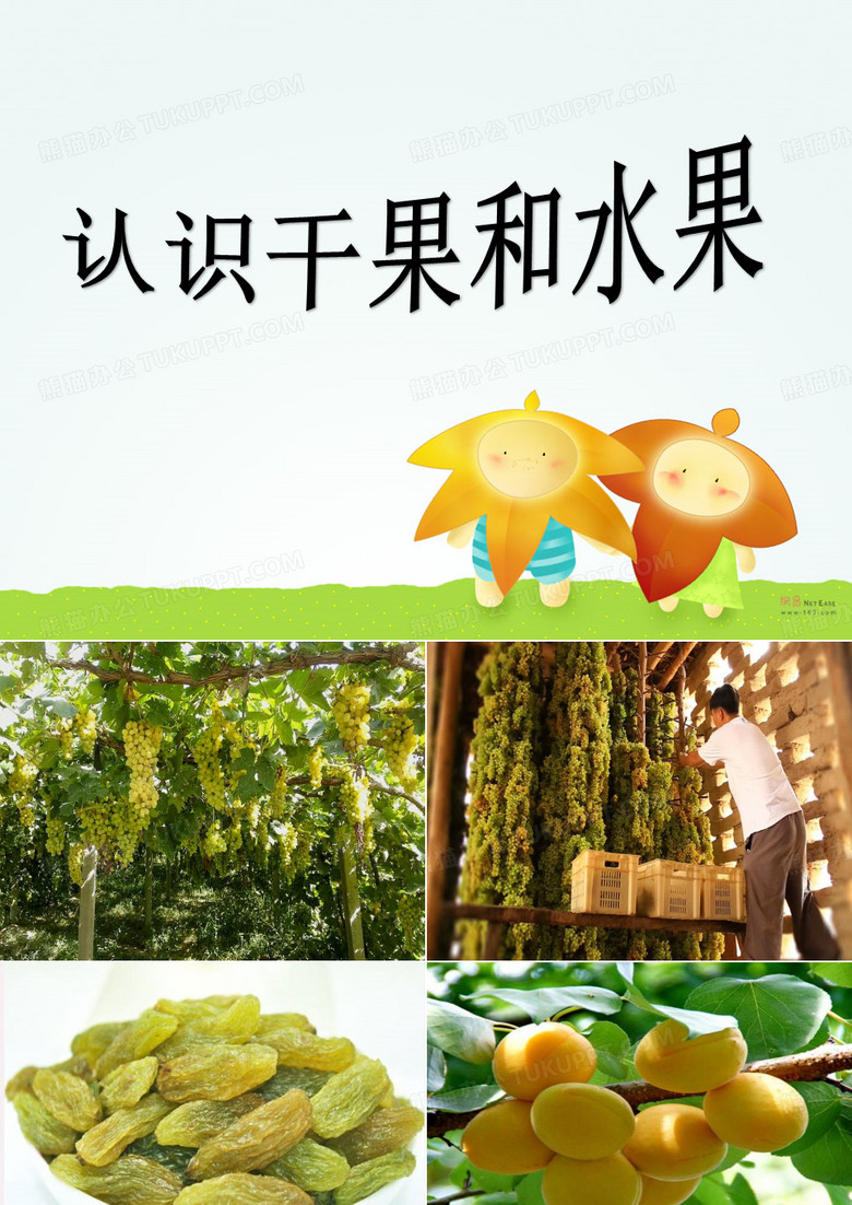 认识干果和水果