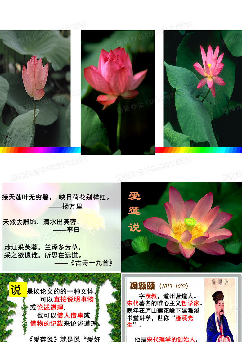 爱莲说