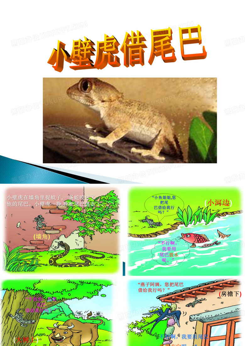 小壁虎借尾巴ppt