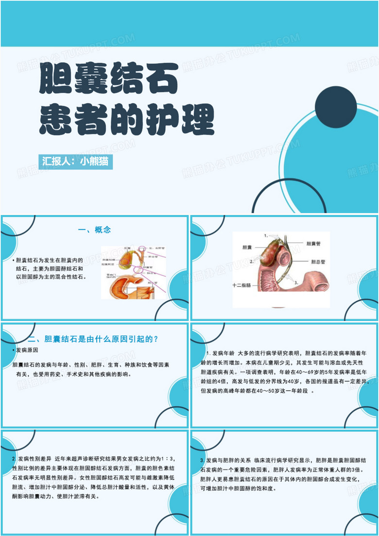 简约风胆囊结石患者的护理PPT模板