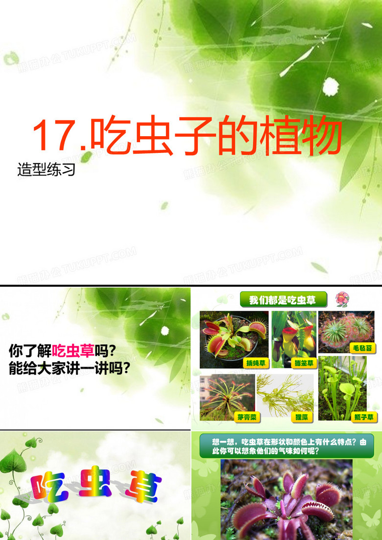 17.吃虫子的植物