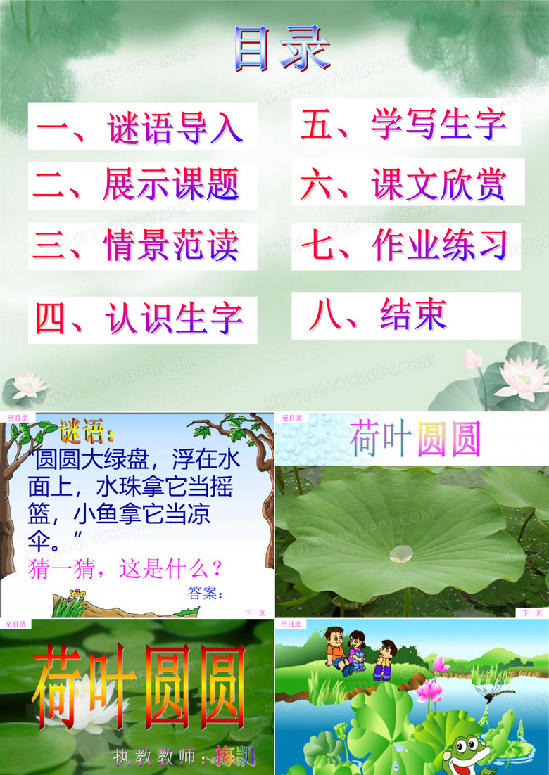 荷叶圆圆