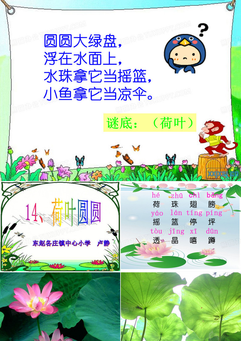荷叶圆圆
