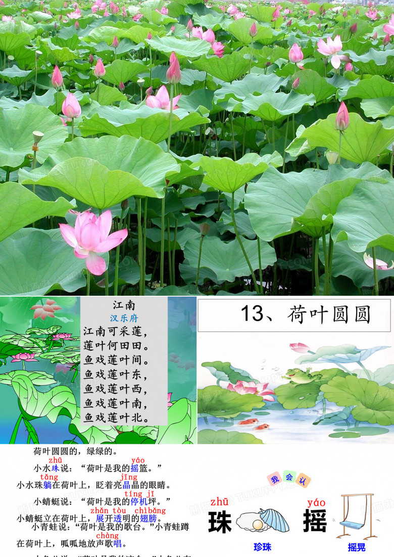 《荷叶圆圆》