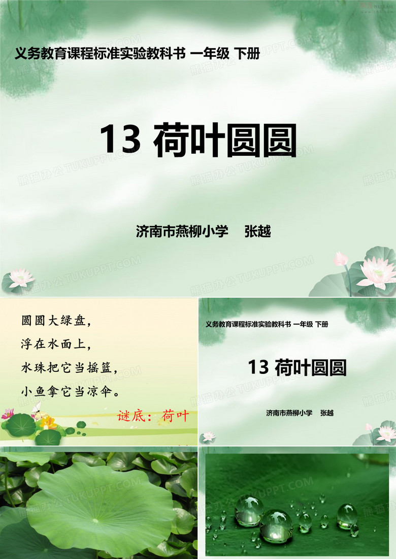 荷叶圆圆