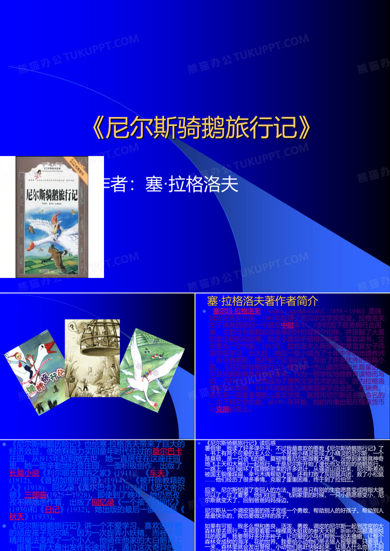 《尼尔斯骑鹅旅行记》.ppt