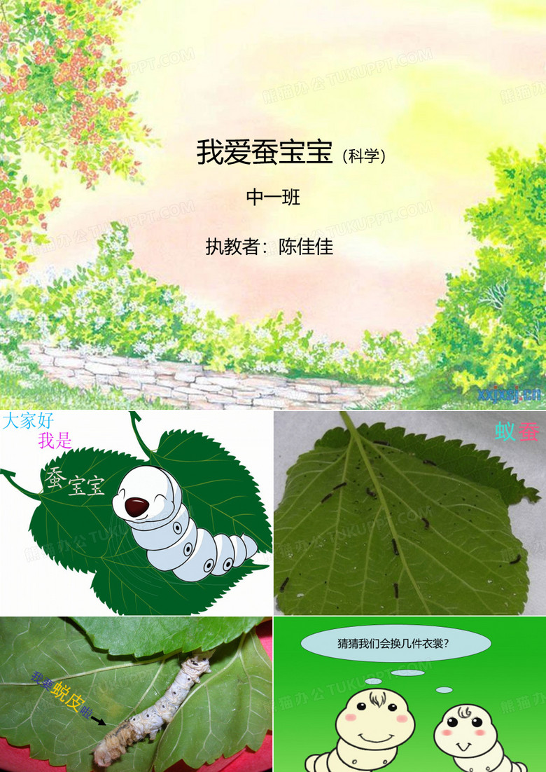 我爱蚕宝宝