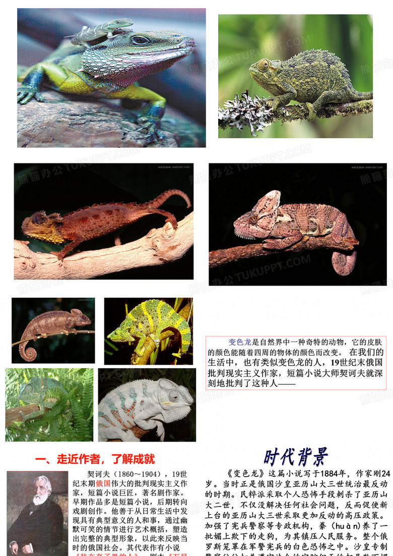《变色龙》课件