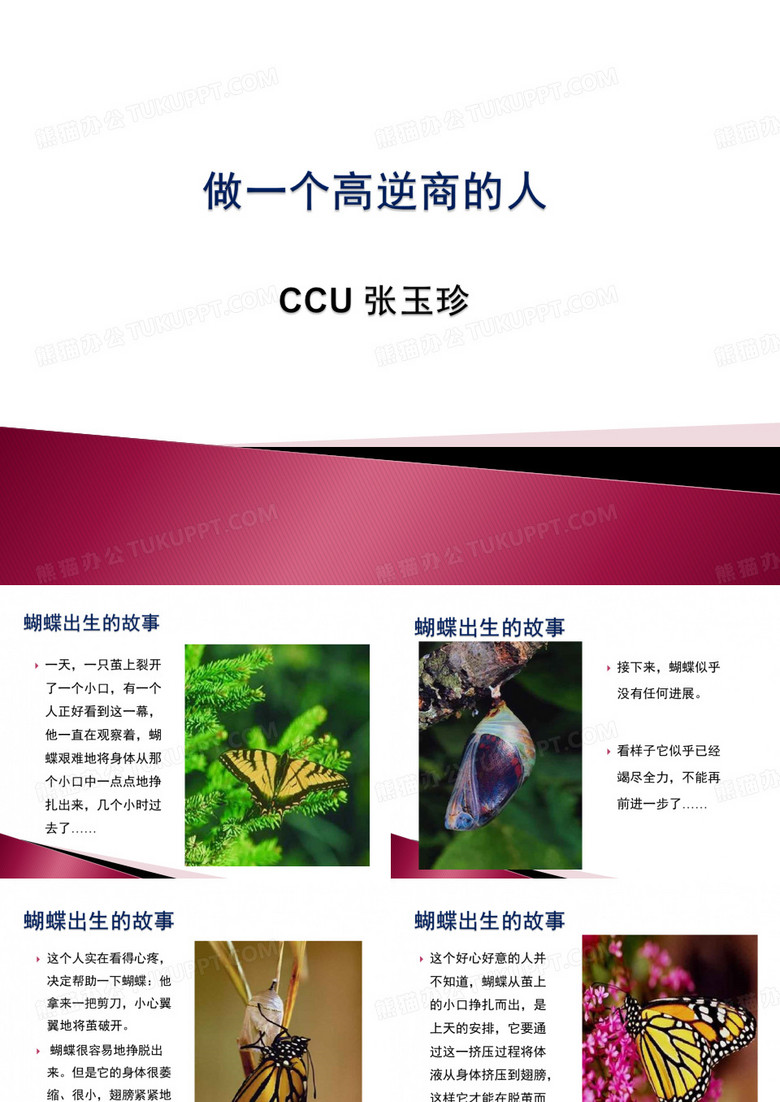 逆商--张玉珍