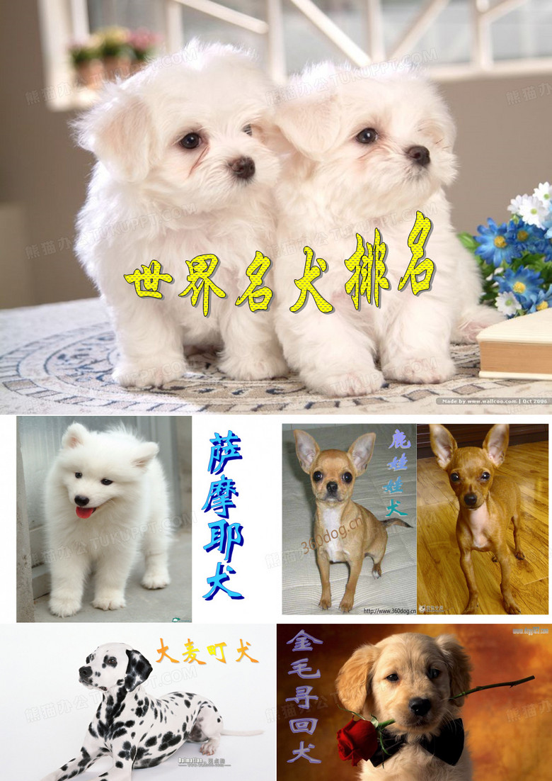 世界名犬排行