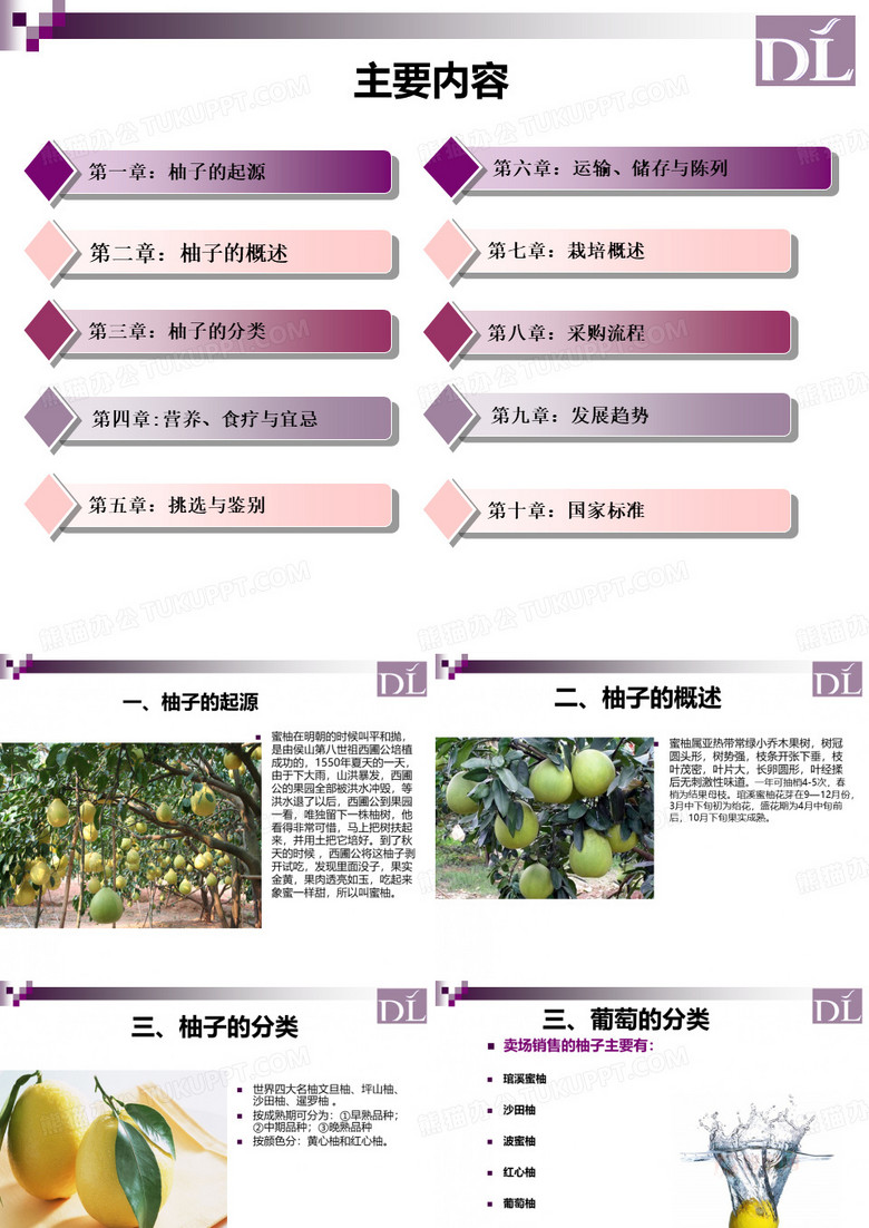 柚子专业知识PPT课件