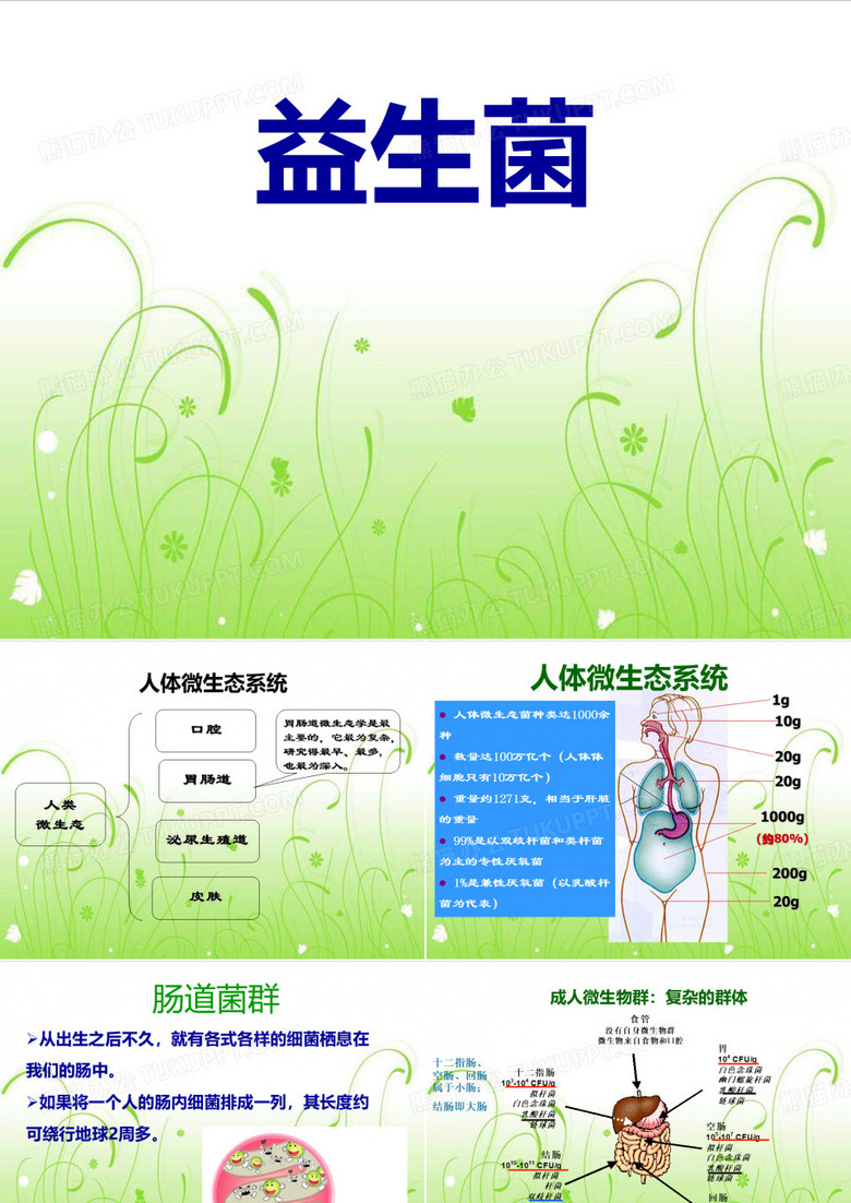 益生菌
