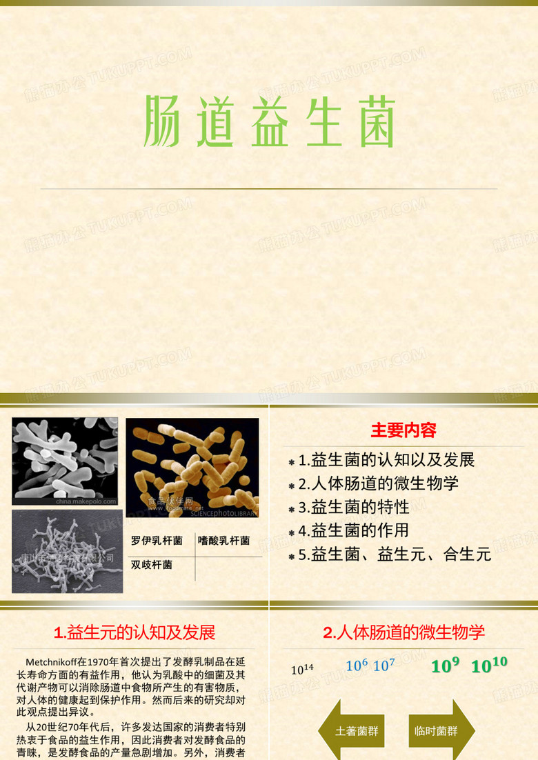 肠道益生菌