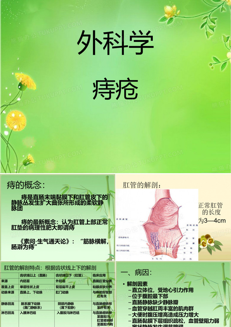 痔疮PPT
