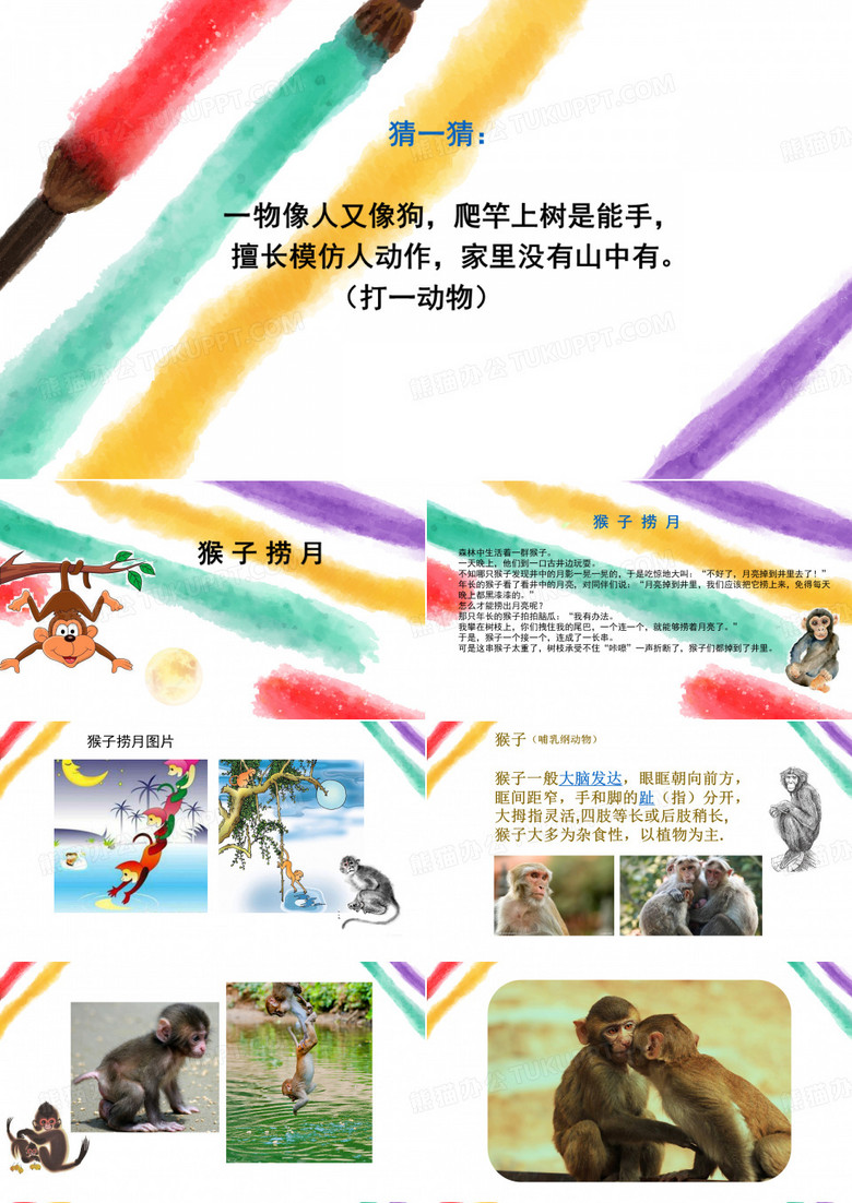 猴子捞月