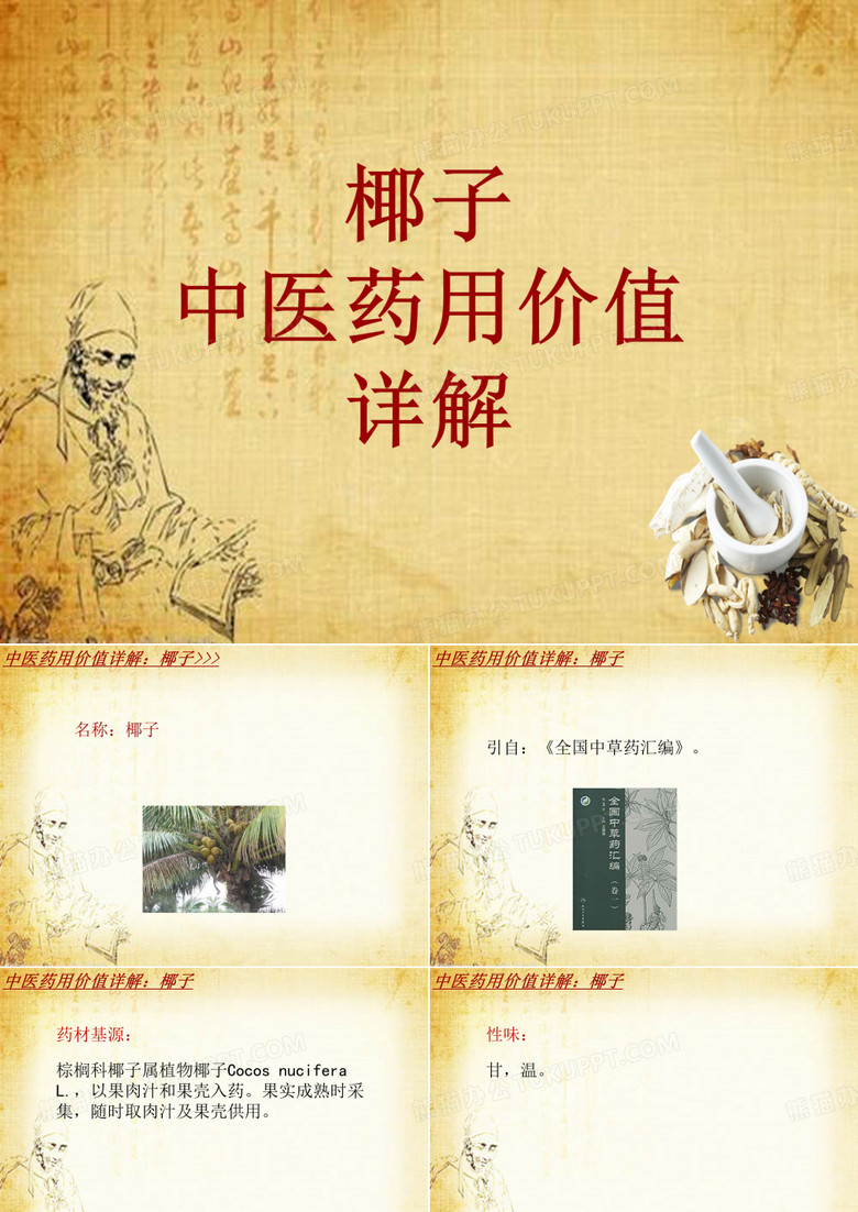 中药学_椰子_药材详解课件模板
