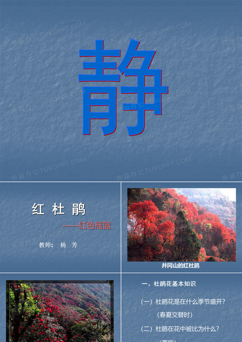 红杜鹃(课件)
