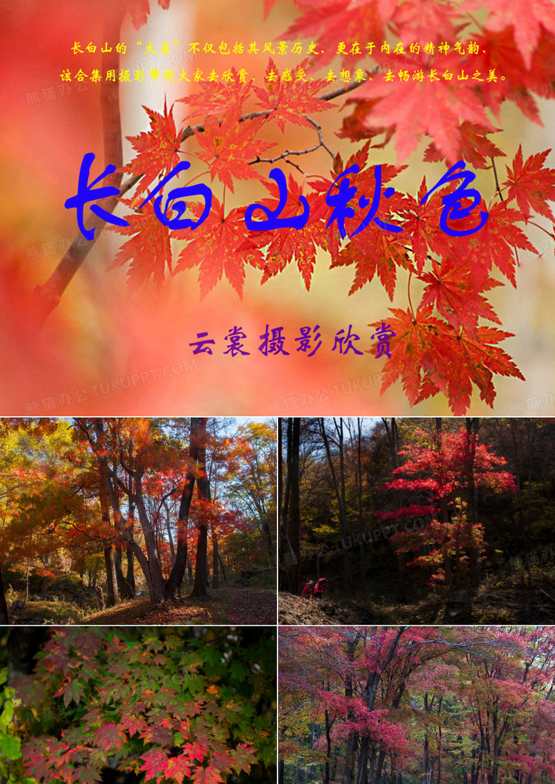 长白山秋色