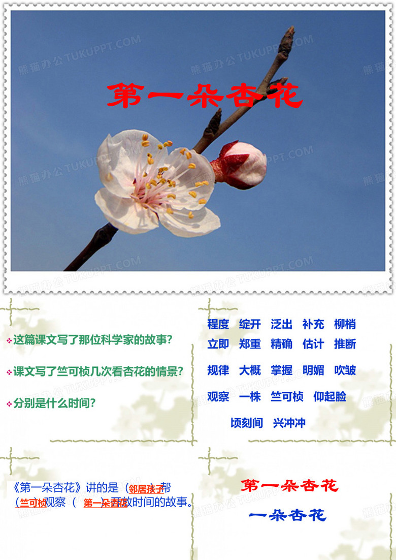 2第一朵杏花ppt