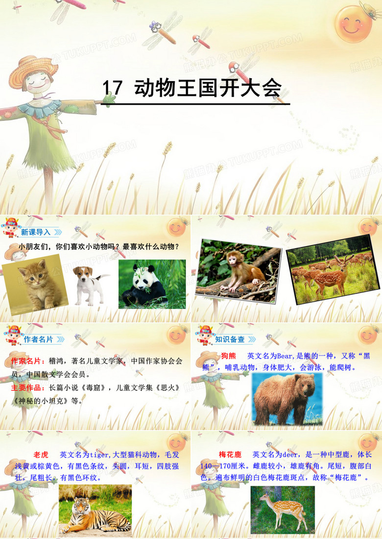 动物王国开大会