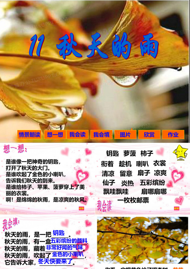 秋天的雨