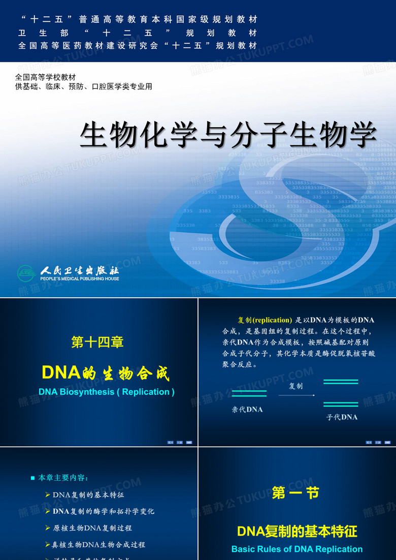 DNA的生物合成